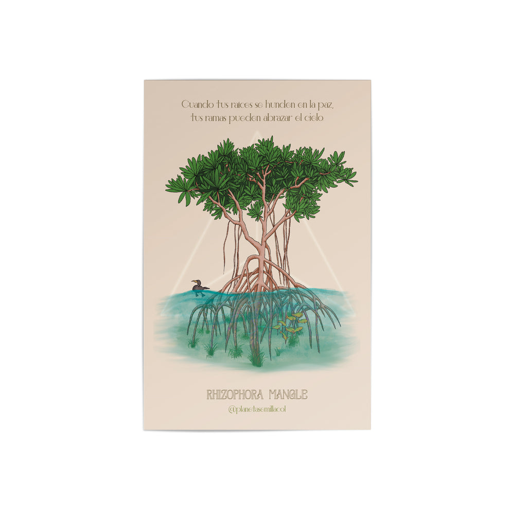 Postal Manglar