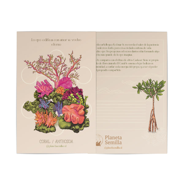 Postal Coral