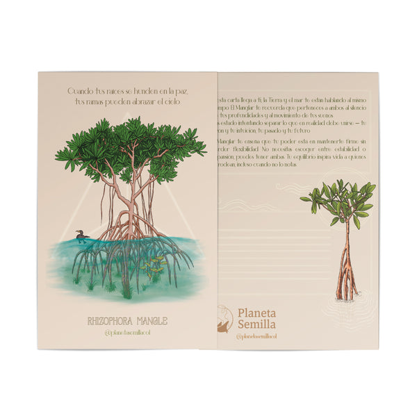 Postal Manglar