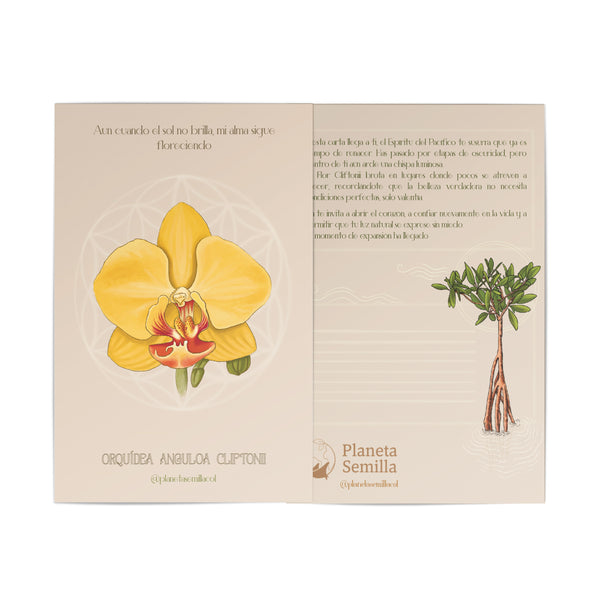 Postal Orquidea
