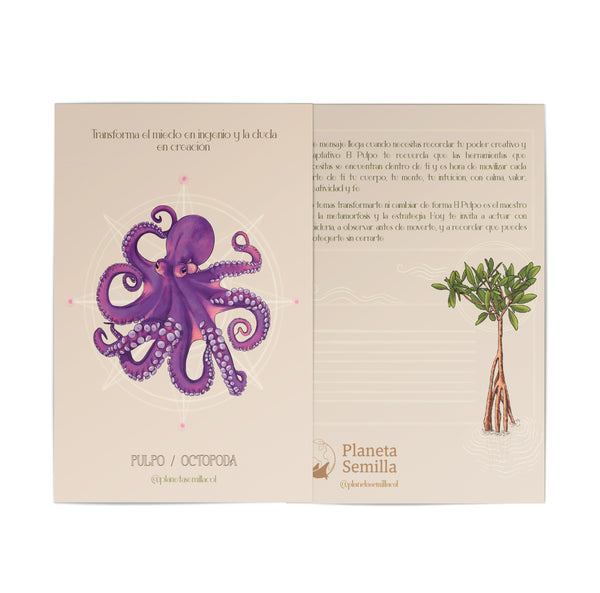 Postal Pulpo
