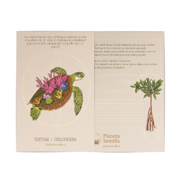 Postal Tortuga